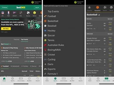 Explore the Features and Benefits of the Willbet Sportsbook App for Enthusiastic Bettors